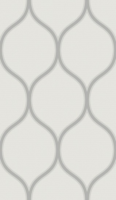 50007zn